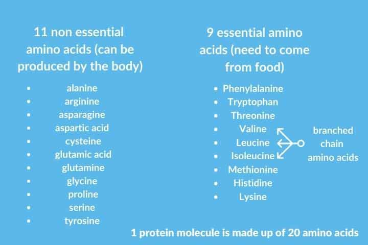 amino acids list