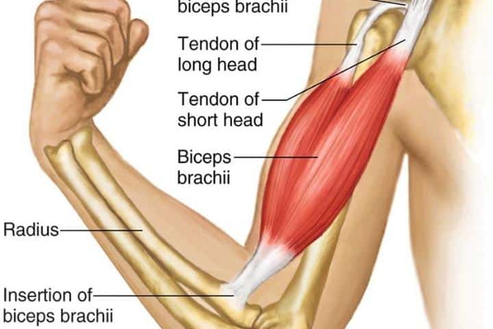 leg weakness in the elderly 