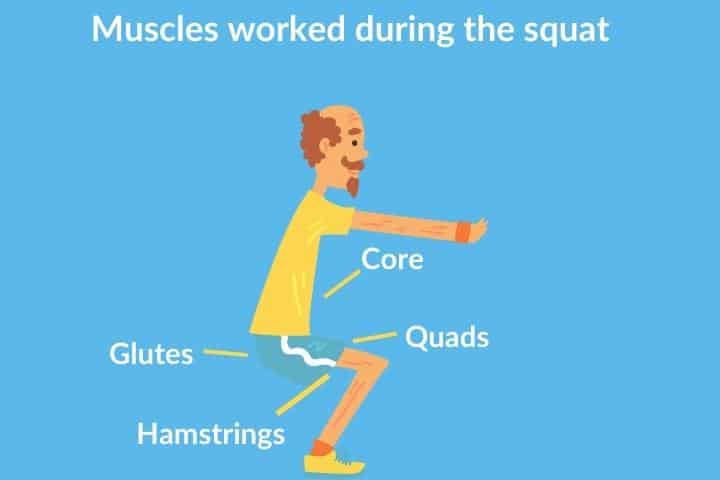 How To Perform Great Squats For Elderly People 2023- Wise Fitness Academy